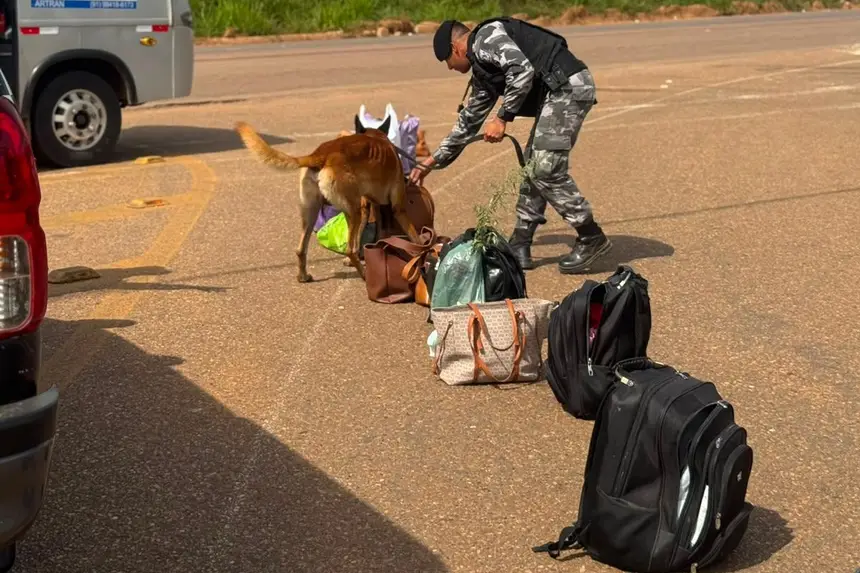 20260603182251-GC00077787-F00308680E.webp