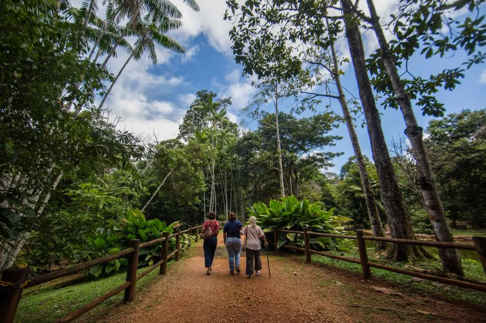 Flona Carajás: escala diferenciada garante acesso durante o mês de férias