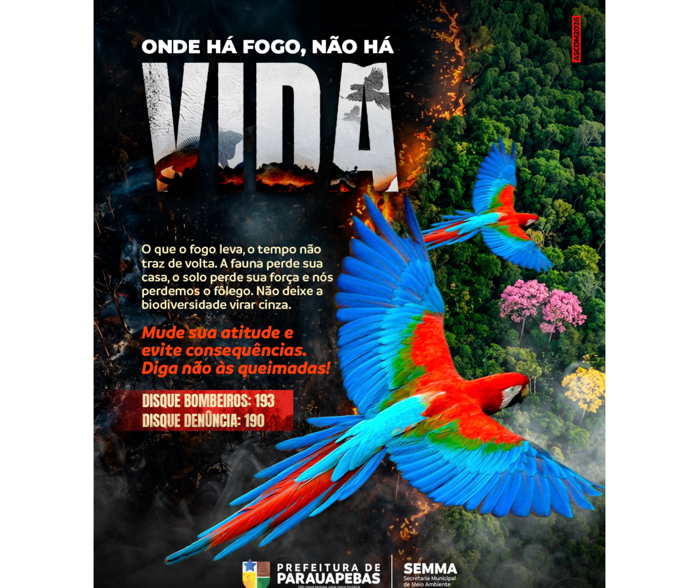 Anúncio